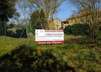 Rilievi dell'Area del Colle del Pionta ad Arezzo 1