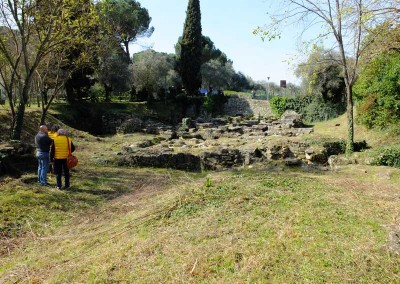 Rilievi dell'Area del Colle del Pionta ad Arezzo 17